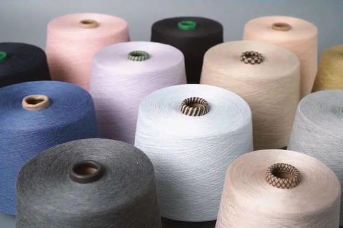 柯橋先行示范之路 瞄準“雙碳”目標，加速綠色轉型推動共同富裕