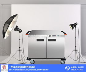 新造鎮(zhèn)畫冊(cè)設(shè)計(jì)服務(wù)——凌志營銷策劃的優(yōu)質(zhì)企業(yè)解決方案